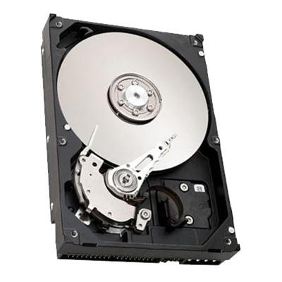 M9741G/A Apple 400GB 7200RPM ATA-133 Hot Swap 8MB Cache 3.5-inch Internal Hard Drive for XServe RAID/G4