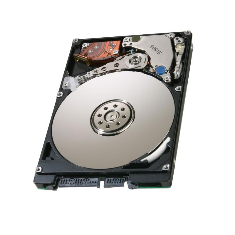 NSR25/500 Sony 500GB 5400RPM SATA 3Gbps 2.5-inch Internal Hard Drive