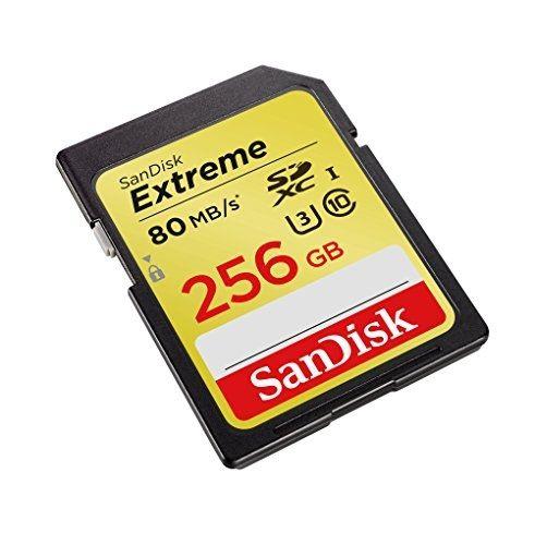 SanDisk SDSDXN-256G-G46