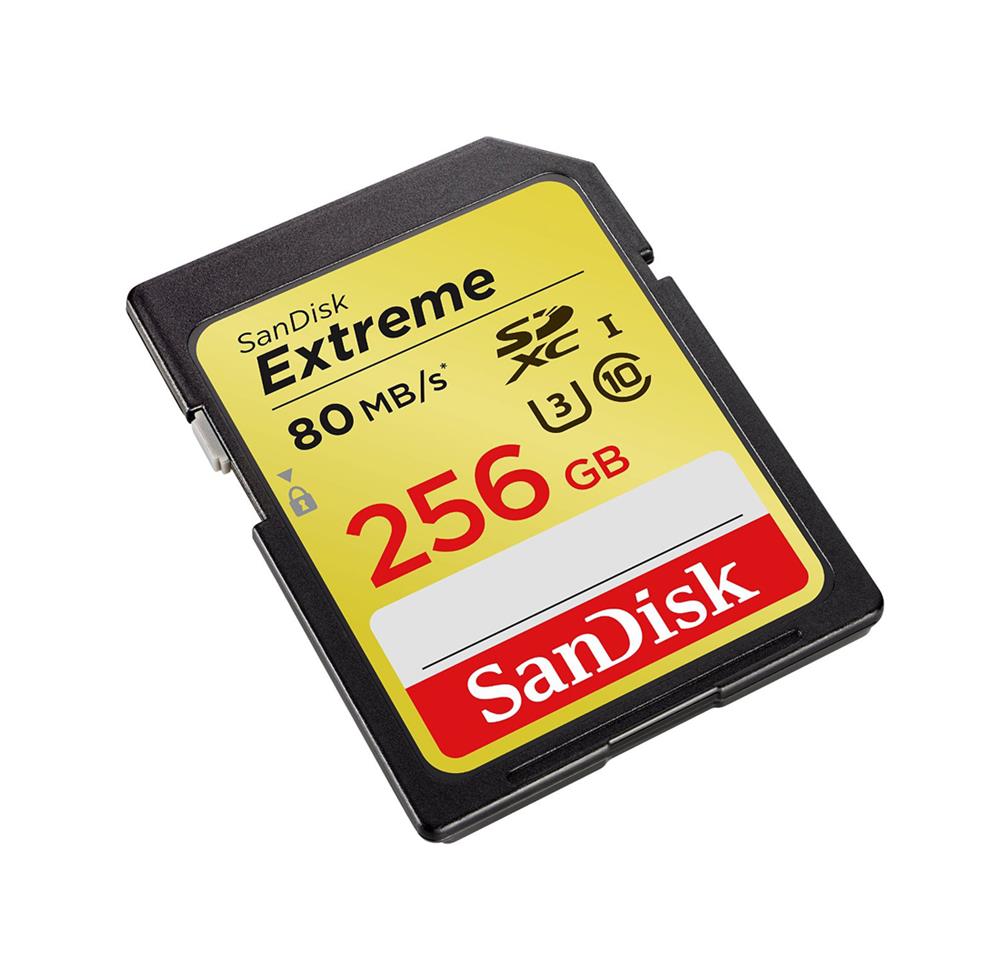 SanDisk SDSDXNF-256G-ANC