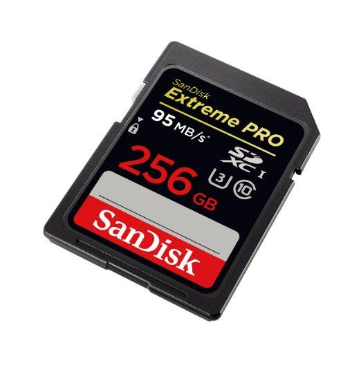 SanDisk SDSDXPA-256G-G46