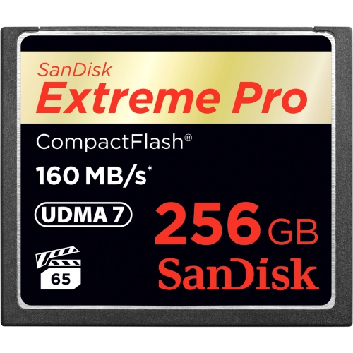 SanDisk SDCFXPS-256G-A46