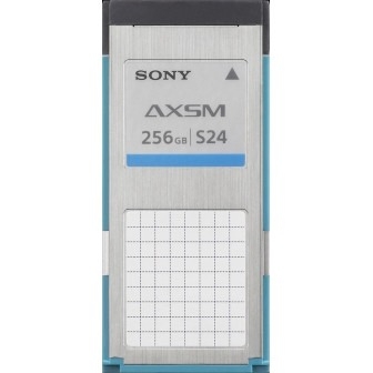 Sony AXS-A256S24