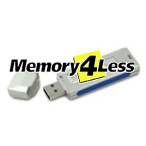 Kingston KUSBDTI/256