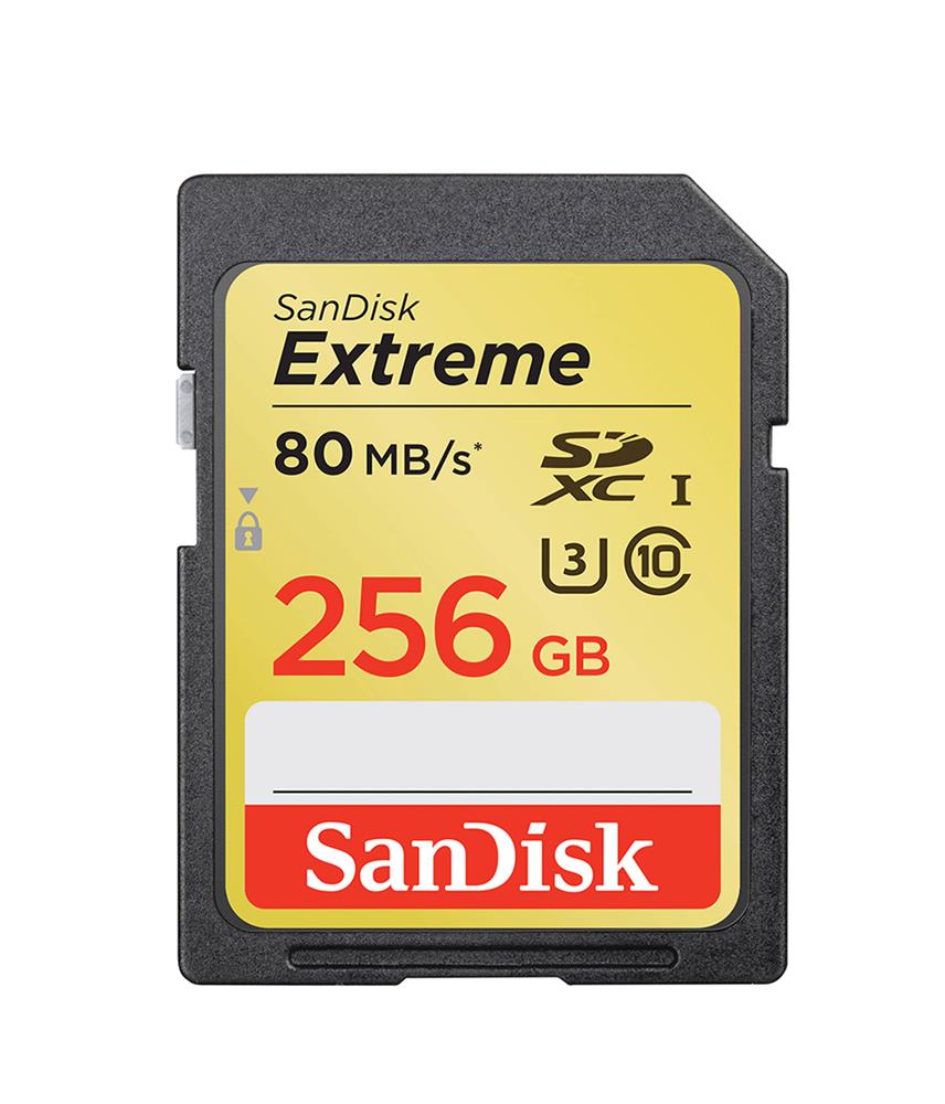 SanDisk SDSDRX3-256G-A21