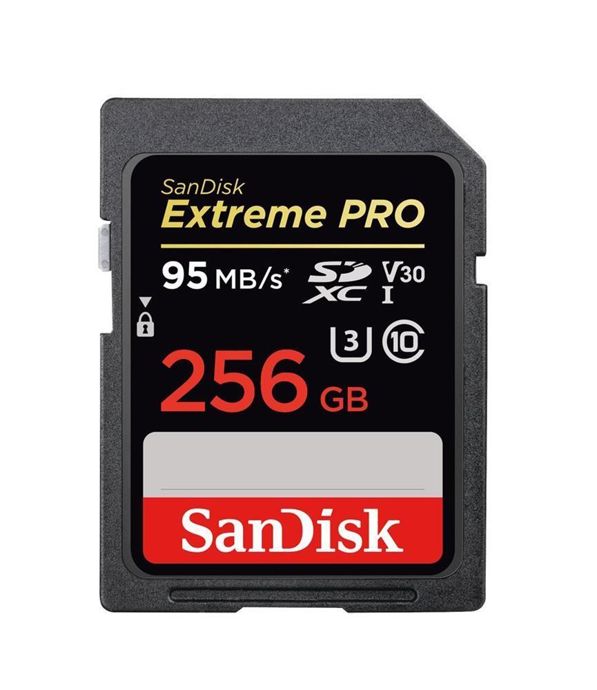 SanDisk SDSDXXG-256G-ANCIN